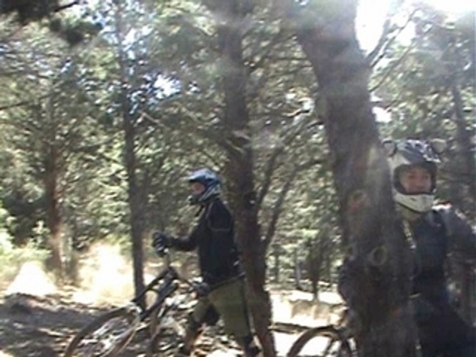 Bike Forca Real