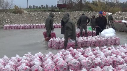 Suyun içinde çalışıyorlar...Kadın işçiler tonlarca turp yıkayıp 180 lira yevmiye alıyorlar