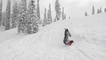 'Snowboarder slammed onto snow following failed jump attempt over mini tree '