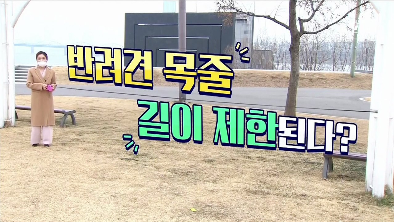 [팩트맨]반려견 목줄 ‘2m 룰’ 기준?