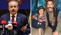 Son Dakika! HDP'li Semra Güzel'in PKK'lı teröristle olan fotoğrafları hakkında Şentop'tan dikkat çeken çıkış: İç tüzüğün gereği yapılmalıdır