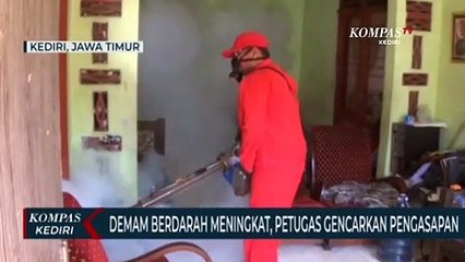 Скачать видео: Kasus Demam Berdarah Meningkat, Pemkot Kediri Gencar Lakukan Pengasapan