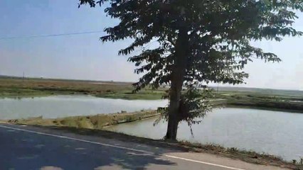 Visiting Sylhet 's Lala khal and Majars and going for a night drive