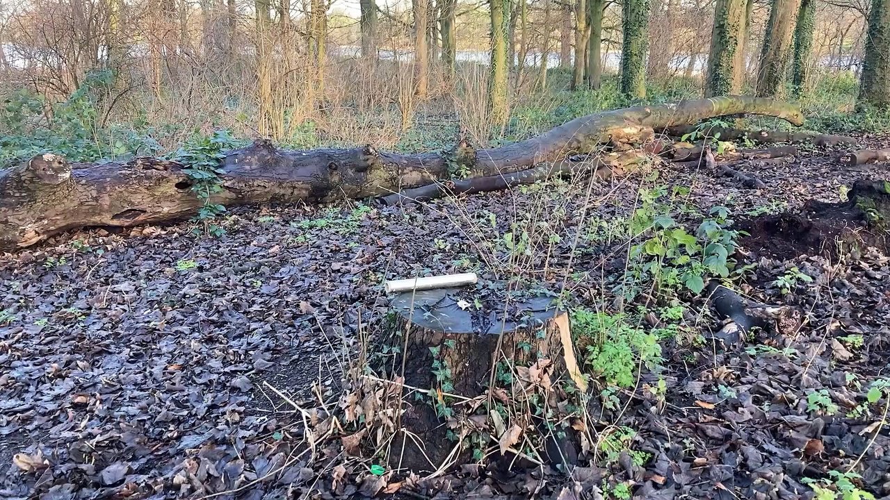 Lurgan Park 10-01-22