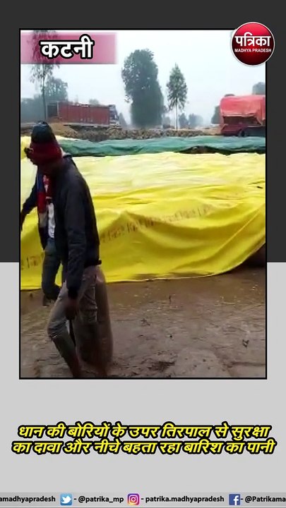 कटनी : धान से भरी बोरियों के उपर तिरपाल से सुरक्षा का दावा और नीचे बहता रहा बारिश का पानी