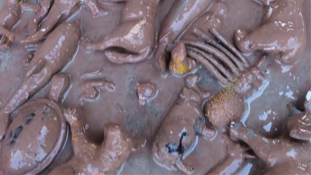 Учим животных на английском Тигр Лев Обезьяна Лошадь слоны Лев Дикие животные