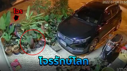 โจรรักษ์โลก ขี่มอเตอร์ไซค์ตระเวนขโมยต้นไม้ กระถางไหนสวยถูกใจ..ไม่รอด