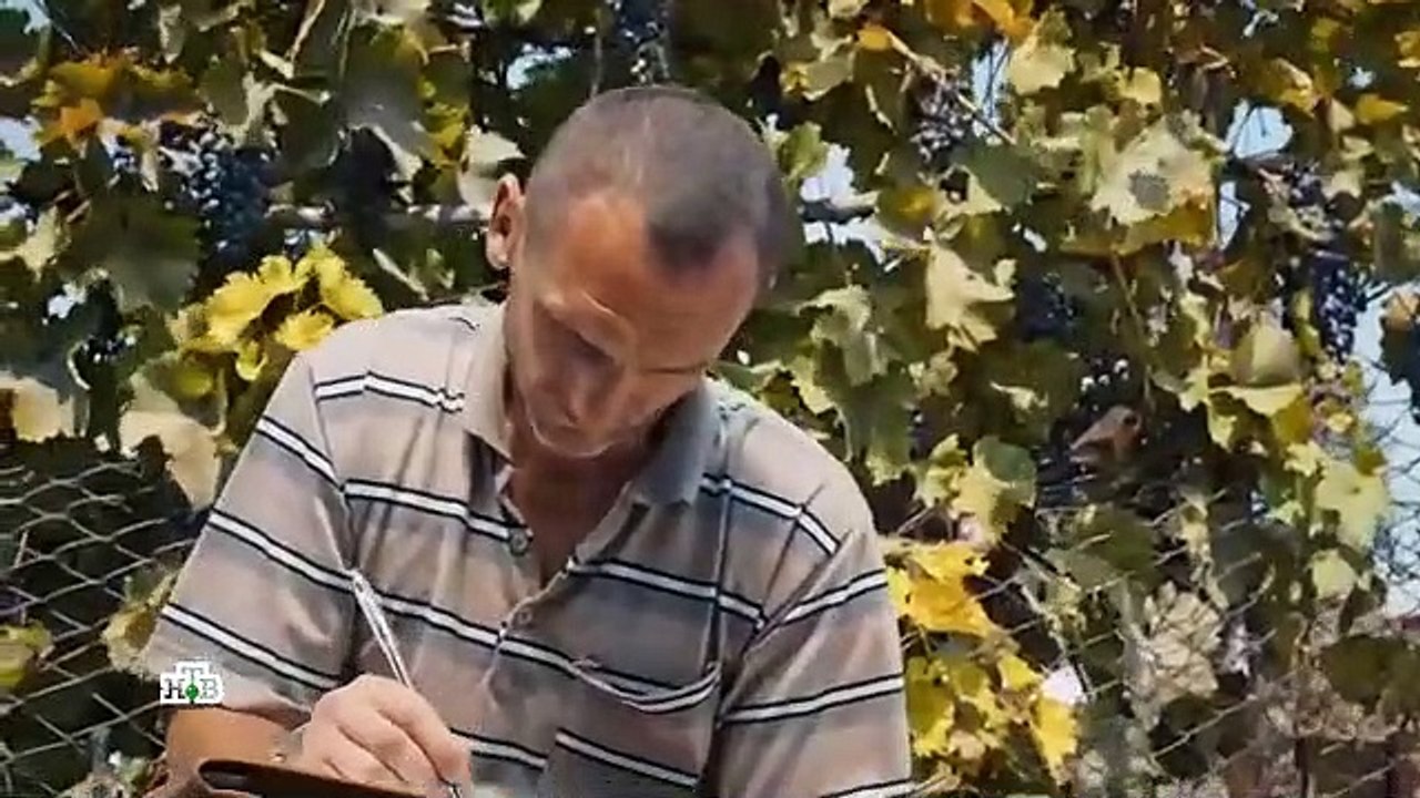 Бим - 4 серия