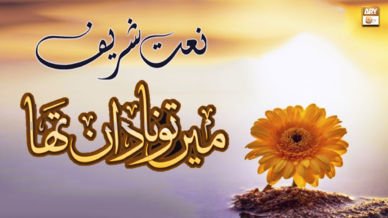 Main to nadan tha Danista bhi kya kya na kiya - Naat By Hafiz Muhammad Waqas Asif