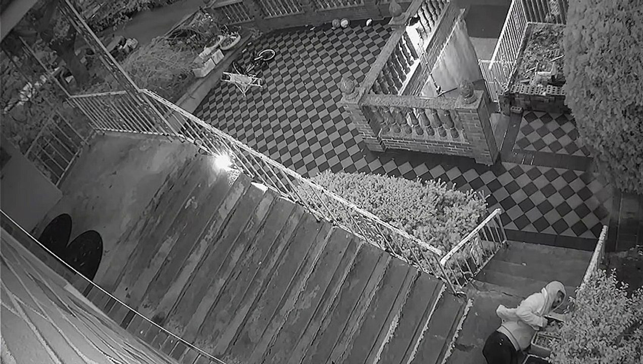 Slippery Steps Take Guy by Surprise