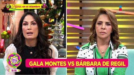 Gala Montes explota contra Bárbara de Regil al estilo de Niurka