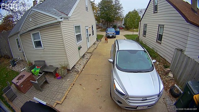 Runaway Truck Rolls Into Parked Car