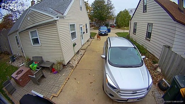Runaway Truck Rolls Into Parked Car