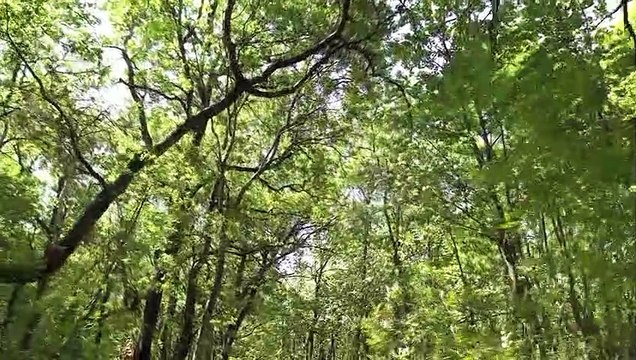 El año 2021 fue el quinto más cálido a nivel mundial desde que hay registros