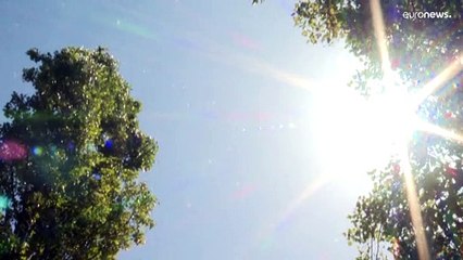 Sosem mértek olyan meleget, mint az elmúlt 7 évben