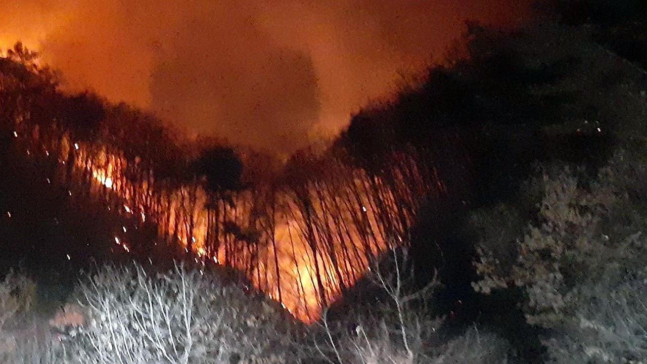 경북 영주 야산 화재...바람에 진화 어려움 / YTN