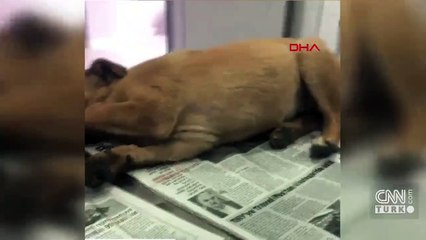 Mahkeme akıl sağlığı raporu istedi