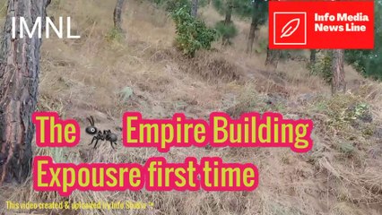 Ants Empire Building Expousre first time