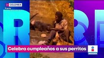 VIDEO: Hombre celebra cumpleaños a sus perritos