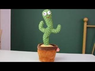 الصبارة الراقصة وسر الإقبال الشديد عليها.. ومتابعون  مسلية وبتموت من الضحك