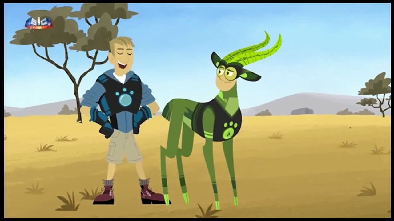 A cheetah adotiva - português do Portugal - Kratts series - video