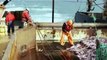 Undercover Boss (Us) S03 - Ep05 American Seafoods Hd Watch