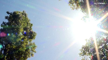 Año tras año la temperatura aumenta y los fenómenos clim´áticos extremos también según Copernicus