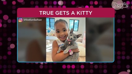 Khloé Kardashian Shares Photos of Daughter True's New Cat Following Tristan Thompson's Apology
