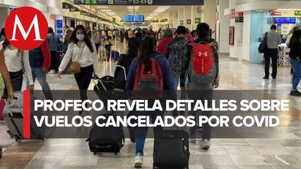 Profeco atiende quejas por cancelación de vuelos