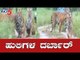 Tigers Spotted At Nagarahole National Park & Tiger Reserve In Mysore | TV5 Kannada