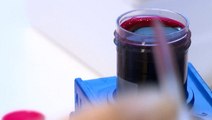 Swedish lab develops synthetic blood to help kill mosquitoes carrying malaria