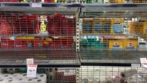 Empty shelves at supermarkets with staff in isolation