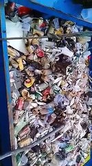 Enquanto isso, na Praia Grande (litoral de SP)