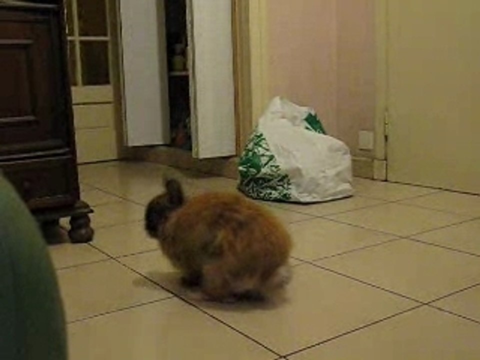 Charly dérape!