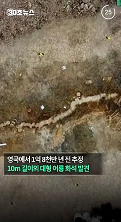 [30초뉴스] 머리만 2ｍ…1억 8천만 년 전 10m짜리 어룡화석 발견