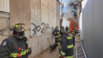Incendio en Iquique consume 100 viviendas de un campamento irregular