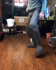 Cat - Training a cat to be a kangaroo