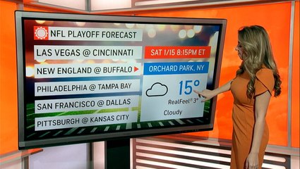 Your forecast for this week's NFL playoff games