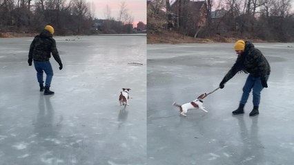 'Playful dog having a blast playing and running on ice'