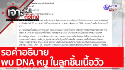 รอคำอธิบาย พบ DNA หมู ในลูกชิ้นเนื้อวัว : เจาะลึกทั่วไทย (10 ม.ค. 65)
