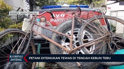 Petani Ditemukan Tewas di Tengah Kebun Tebu