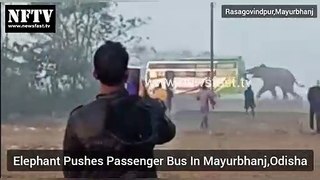 Elephant Pushes Passenger Bus In Mayurbhanj,Odisha