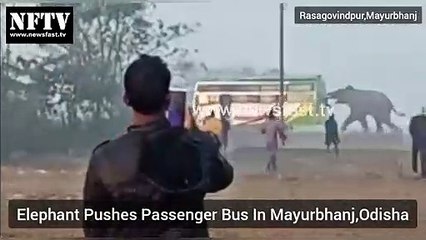 Elephant Pushes Passenger Bus In Mayurbhanj,Odisha