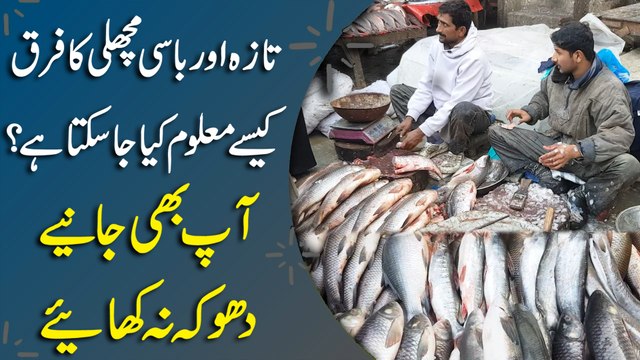 Taza aur baasi machli ka farq kese maloom kia ja sakta hai? Aap b janiye, dhoka na khayei