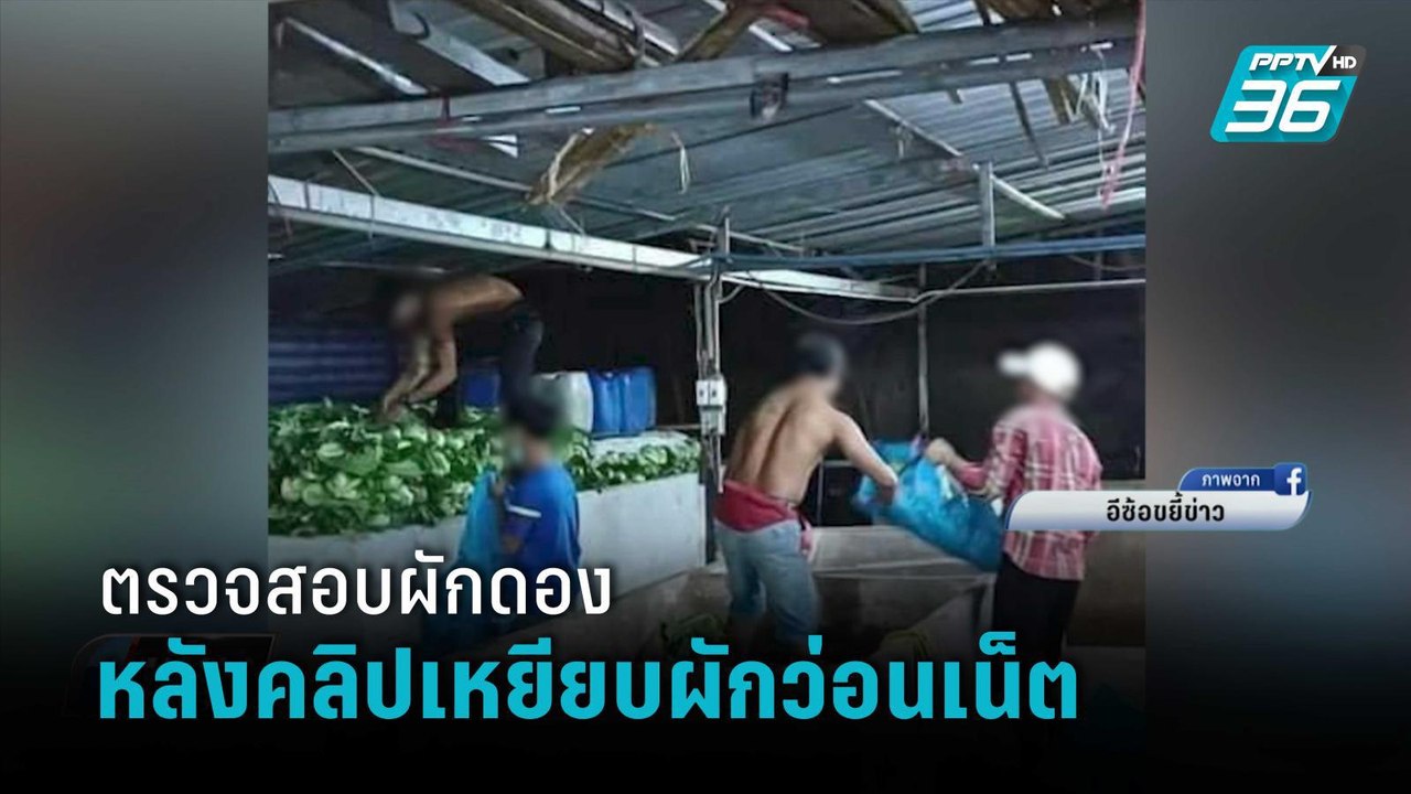 สสจ.สระแก้ว ตรวจสอบร้านผักดองย้ำต้องสะอาด | เที่ยงทันข่าว