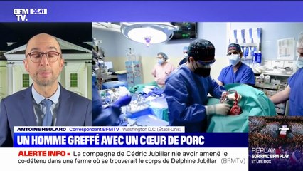 Première greffe d'un cœur de porc génétiquement modifié sur un humain