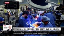 Des chirurgiens américains ont réussi à greffer sur un patient un coeur issu d'un porc génétiquement modifié, une première mondiale !