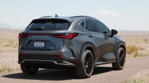 2022 Lexus NX 350 2.4T Model Design in Cloudburst Grey