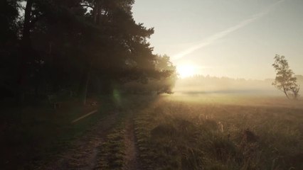 No Copyright Background Nature Video