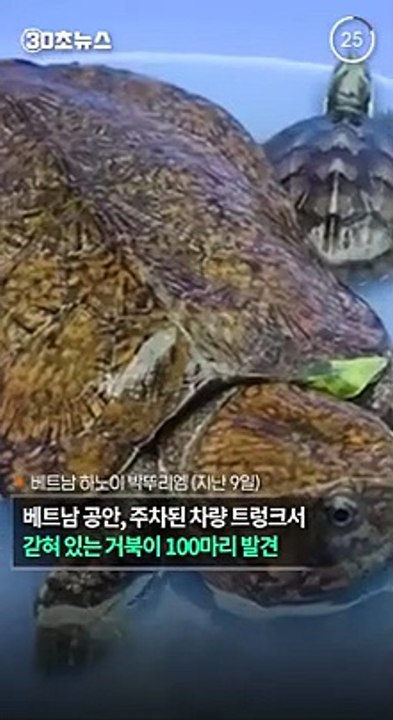 [30초뉴스] 멸종위기 거북 100마리 차량에 갇힌 채 발견돼